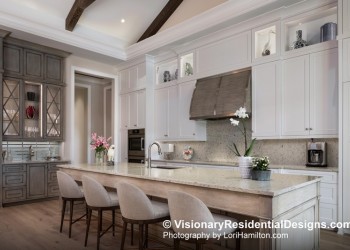 COASTAL WEST INDIES VISIONARY RESIDENTIAL DESIGNS ROSELYN KITCHEN